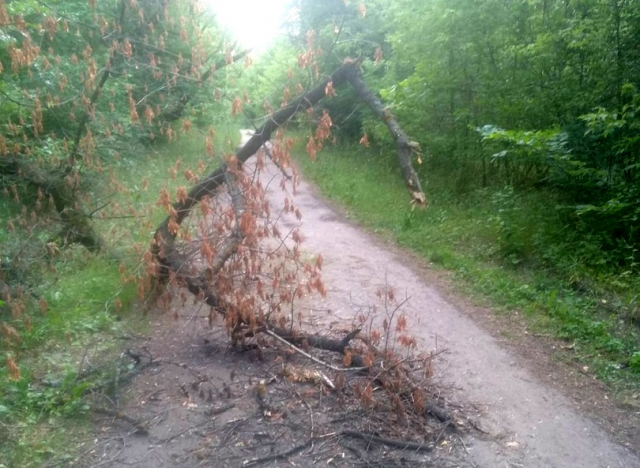 Реальное время сызрань