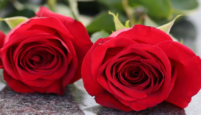 В Жигулевске и Похвистнево сегодня простились с погибшими во время ...