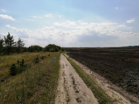 В сызранской пустыне обетованной появляются колодцы