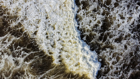 Убивает тысячи людей: чем опасна плесень в доме и как от нее избавиться