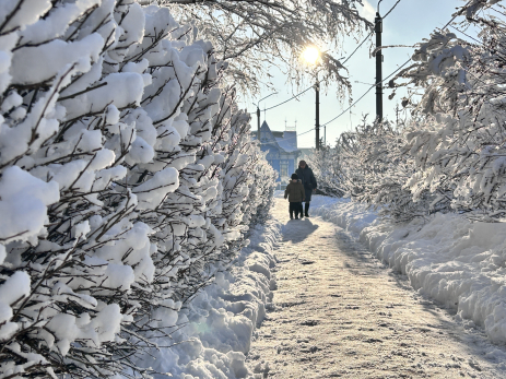 Стало известно, какая погода будет в Самарской области на Новый год