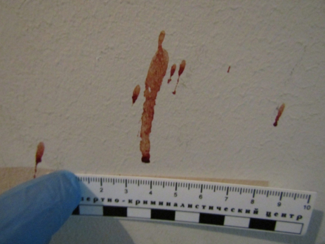 В Самарской области муж застрелил жену, труп несколько дней лежал в квартире