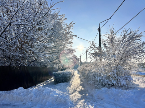 Народные приметы на 9 декабря: одних ждут слезы и нищета, у других появится шанс разбогатеть