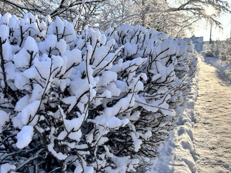 Жителей предупредили о морозах до минус 380 градусов: в школу идти не надо, а на работу придется
