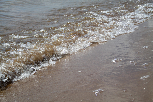 Тело женщины обнаружили на берегу Волги в Октябрьске