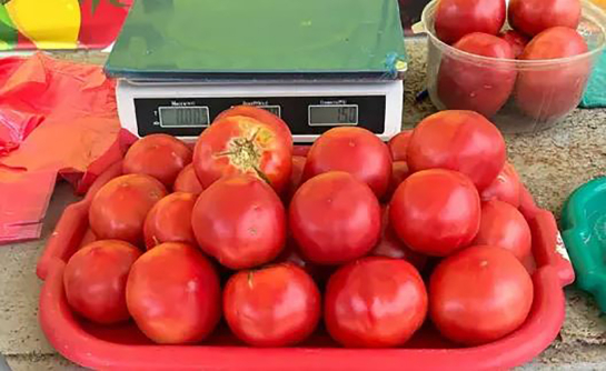 Я ломаю спину: продавцы объяснили шоковые цены на сызранские помидоры