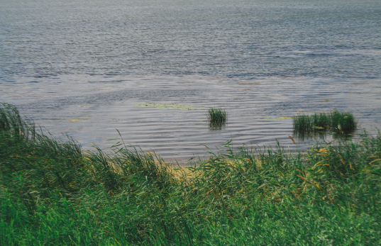 Сотни страшных трагедий: в России утонули 215 детей