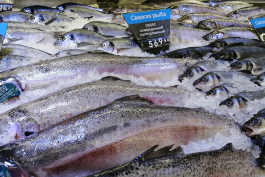 Рыбная мафия закрыла глаза сызранскому ветеринару