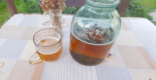 Безалкогольное ничем не отличается от алкогольного: в России готовят новый пивной запрет