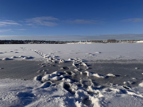 На Усе под лед провалился снегоход с рыбаками