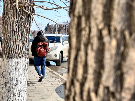 Подует хороший ветерок и вновь полетят по Сызрани коробки: это уже бесит, признался в соцсети мужчина