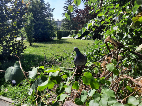 Народные приметы на 25 апреля: что опасно делать с солью и от кого начнет гулять муж