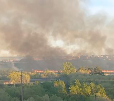 В Сызрани установили личность найденного в горящем камыше мертвеца