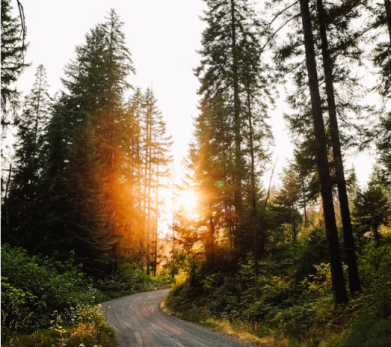 Жертвами смертельно опасных насекомых стали сотни детей