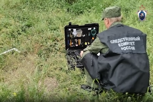 14-летняя фанатка «битцевского маньяка» ударом молотка в висок убила девочку