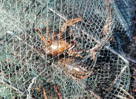 Сызранская полиция изловила немолодого мужчину в резиновом костюме