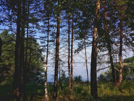 У муранских турбаз экипажи ДПС вылавливают заотдыхавшихся водителей