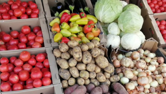 Летом важно слушать свое тело: в Роскачестве рассказали, почему нужно изменить свой рацион