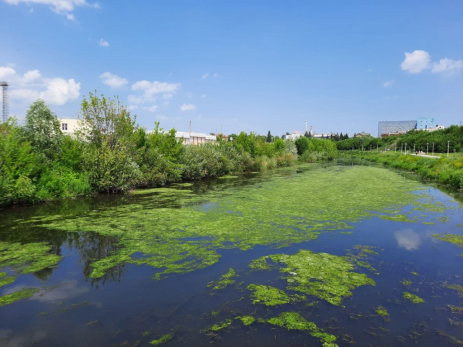 Долой заросли: работами у набережной дело не ограничится - в Сызрани очистят 10 километров русла реки