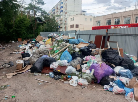 Помойку на Монгоре назвали самой жуткой в Сызрани. Мусор привозят машинами