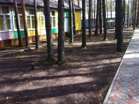 В детском лагере несколько дней насиловали бутылкой 10-летнего мальчика