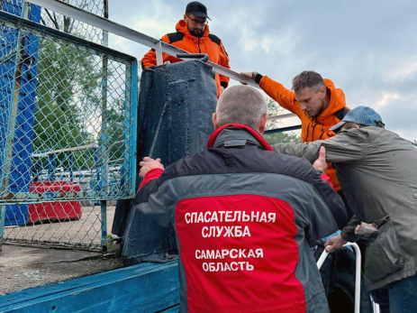 На Волге пропал дед, который пошел на остров по грибы