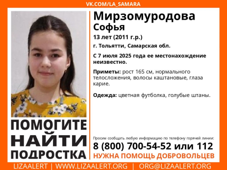 В Самарской области исчезла 13-летняя девочка с каштановыми волосами
