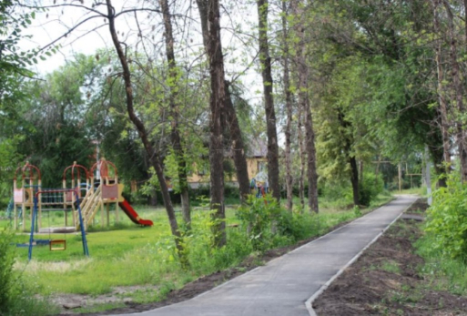 В Тимирязевском парке - большая проблема: власти Сызрани решают, что делать