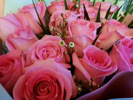 Сызранский цветочный король раскрыл главный секрет выращивания роз