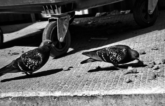 В России хладнокровно расчленили человека в стиле убийства экс-мэра Самары