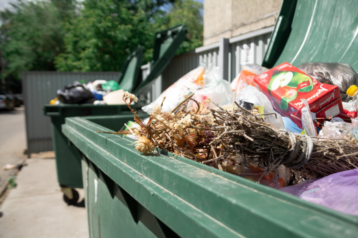 Третий стал лишним для идеальной жены и блогерши: замороженный труп младенца нашли на помойке