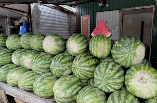 Новый урожай главного деликатеса лета: цены на рынках Сызрани рухнут примерно через неделю