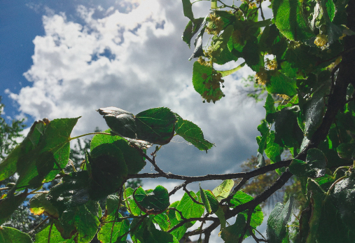 Народные приметы на 16 июля: кому придется сполна расплатиться за счастье, а кто узнает день своей смерти