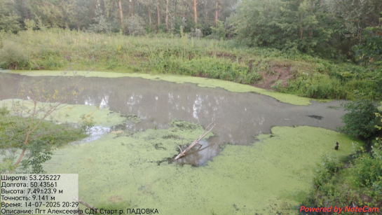Ядовитые выбросы пошли уже в Волгу: гибнет рыба, умирают бобры