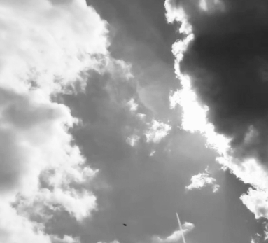 Краснохряк, шламоброд, говенье, кремлевский: станция Судного дня передала непривычно много странных сообщений