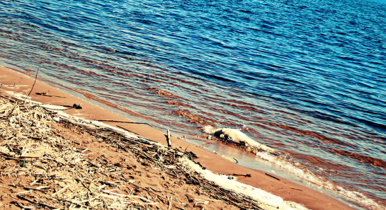 Сегодня утром в Падовском карьере утонул мужчина