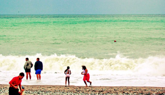 Отдыхающим объяснили, могут ли обитающие в Черном море акулы слопать туристов