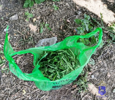 В сызранской Слободке скрутили гулявшего с мешком травы наркомана