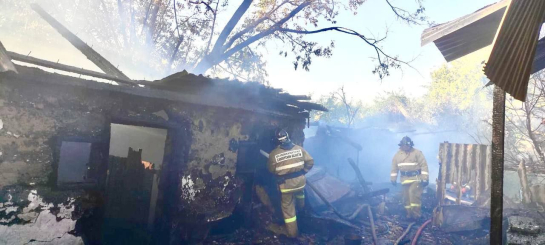 В горящем доме были два мальчика и пять девочек: мама только вышла в магазин и в этот момент раздался звонок