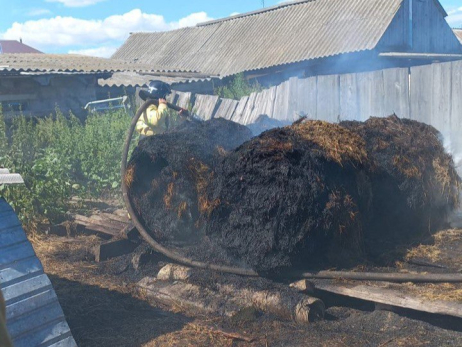 В Муранке сгорела тонна корма для животных