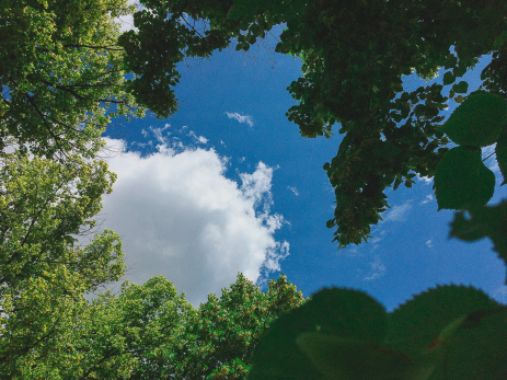 Народные приметы на 1 августа: кому судьба в этот день несет небывалую удачу, а кому внезапную и страшную смерть