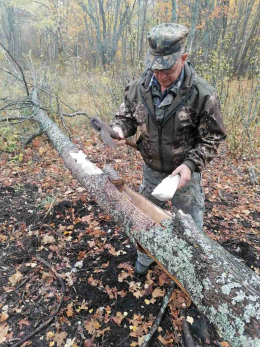 В Самарской области зверям скормили полторы тонны соли и три тысячи веников