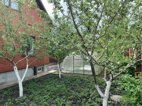 Полное руководство к действию на участке: что важно сделать дачникам в августе