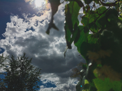 Народные приметы на 4 августа: кого убьет молния, эликсир молодости и кому удача подбросит легких денег