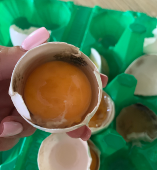 В адрес сети «Победа» прилетела претензия: и куры бы в шоке от таких яиц