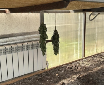 В Сызрани по наводке вышли на мастера покурить «травку»