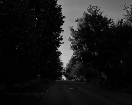 По дороге растеклась лужа крови: под Сызранью внедорожник насмерть сбил быка