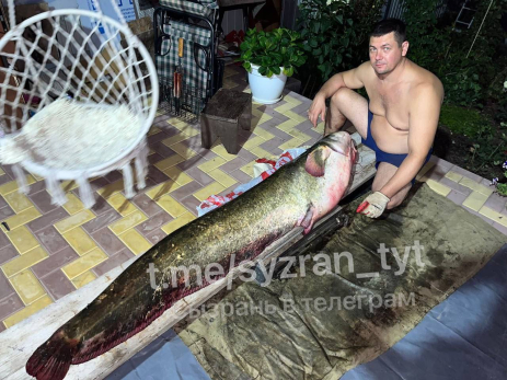 На Волге изловили гигантского речного монстра ростом больше человека