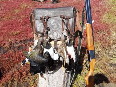 Сеня, дичь: в угодьях под Сызранью начинается сезон охоты