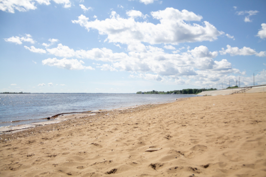 Не глотайте воду! Медики предупредили жителей Сызрани о паразитах